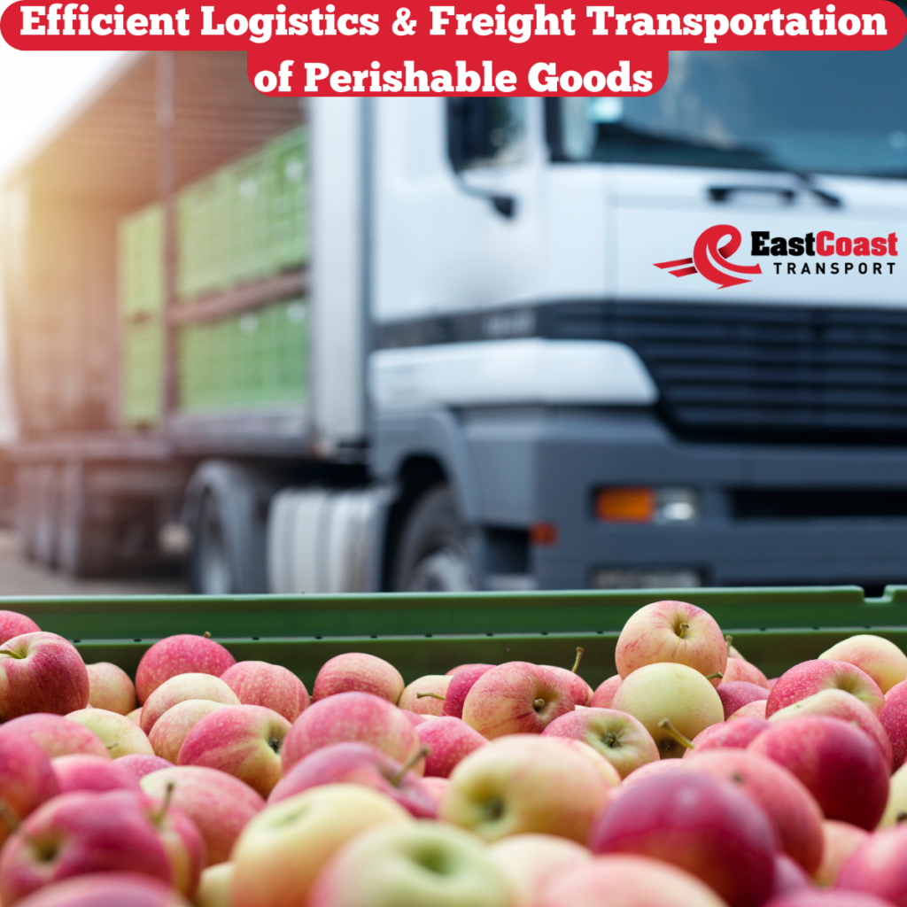 Logistics and Freight Transportation